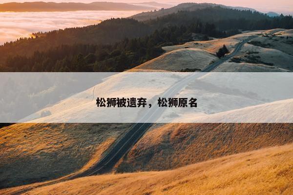 松狮被遗弃，松狮原名