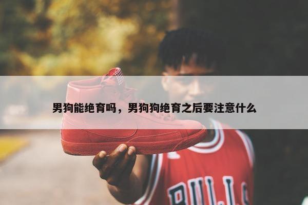 男狗能绝育吗，男狗狗绝育之后要注意什么