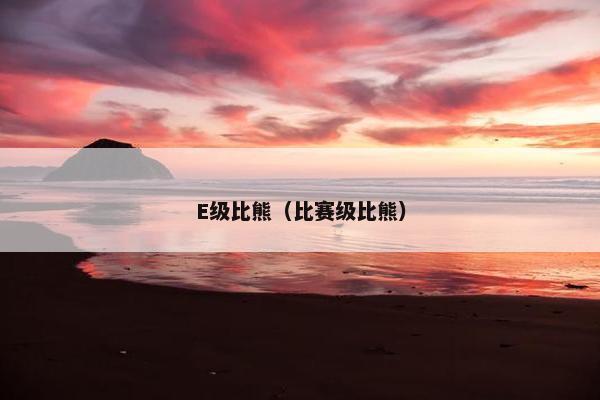 E级比熊（比赛级比熊）