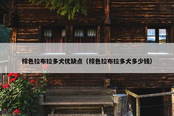棕色拉布拉多犬优缺点（棕色拉布拉多犬多少钱）
