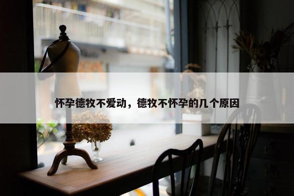 怀孕德牧不爱动，德牧不怀孕的几个原因
