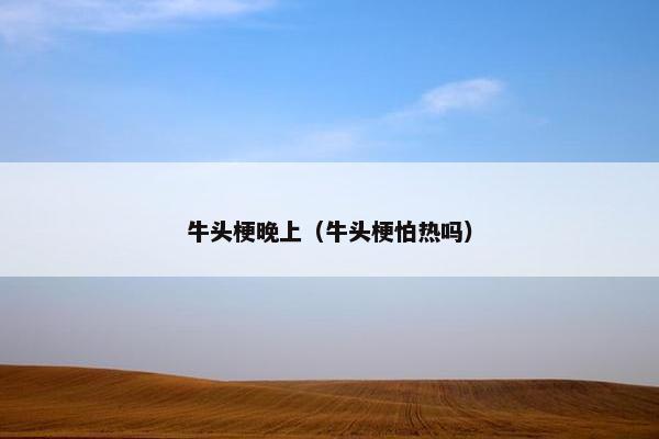 牛头梗晚上（牛头梗怕热吗）