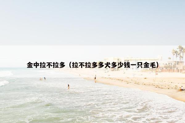 金中拉不拉多（拉不拉多多犬多少钱一只金毛）