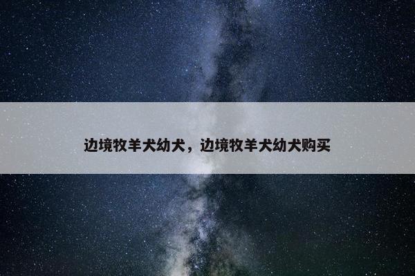 边境牧羊犬幼犬，边境牧羊犬幼犬购买