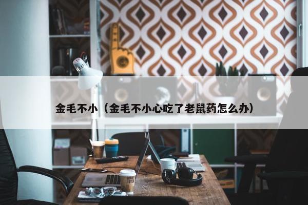 金毛不小（金毛不小心吃了老鼠药怎么办）