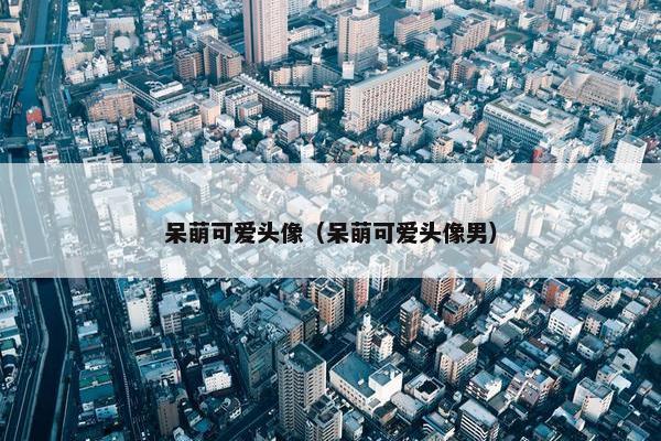 呆萌可爱头像（呆萌可爱头像男）