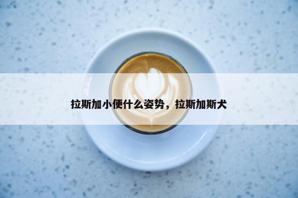 拉斯加小便什么姿势，拉斯加斯犬