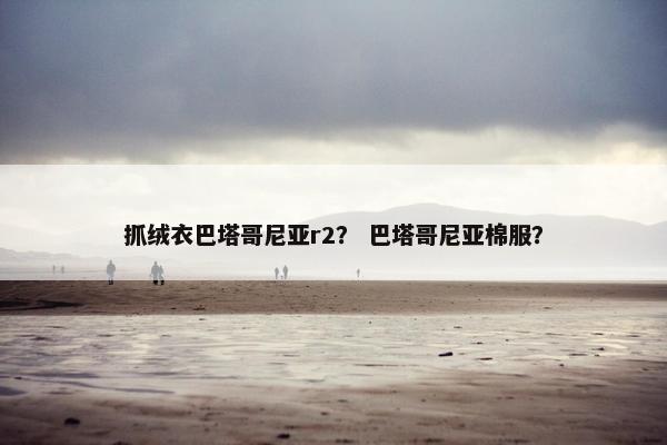 抓绒衣巴塔哥尼亚r2？ 巴塔哥尼亚棉服？