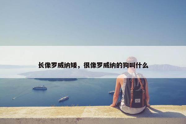 长像罗威纳矮，很像罗威纳的狗叫什么