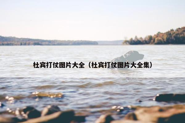 杜宾打仗图片大全（杜宾打仗图片大全集）