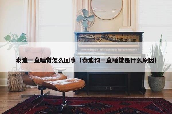 泰迪一直睡觉怎么回事（泰迪狗一直睡觉是什么原因）