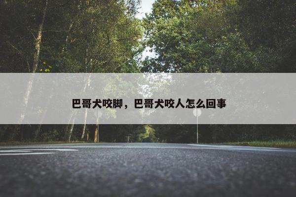巴哥犬咬脚，巴哥犬咬人怎么回事