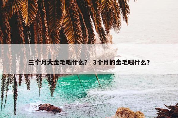 三个月大金毛喂什么？ 3个月的金毛喂什么？