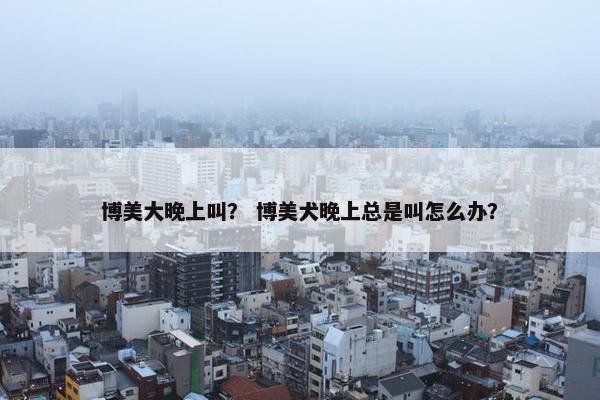 博美大晚上叫？ 博美犬晚上总是叫怎么办？