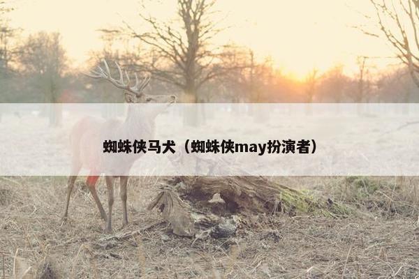 蜘蛛侠马犬（蜘蛛侠may扮演者）