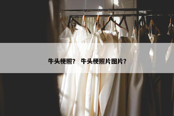 牛头梗照？ 牛头梗照片图片？