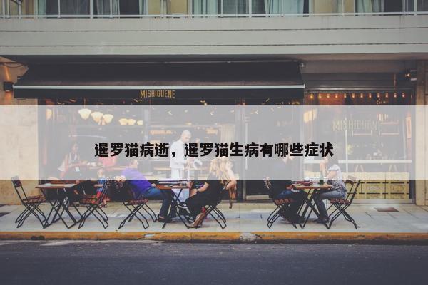 暹罗猫病逝，暹罗猫生病有哪些症状