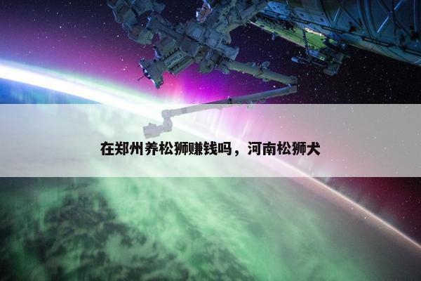 在郑州养松狮赚钱吗，河南松狮犬
