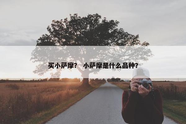 买小萨摩？ 小萨摩是什么品种？