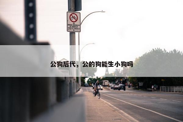 公狗后代，公的狗能生小狗吗