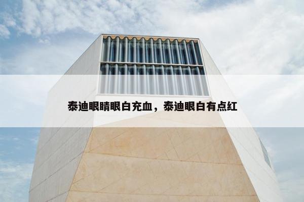泰迪眼睛眼白充血，泰迪眼白有点红