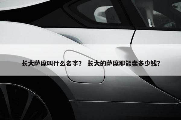 长大萨摩叫什么名字？ 长大的萨摩耶能卖多少钱？