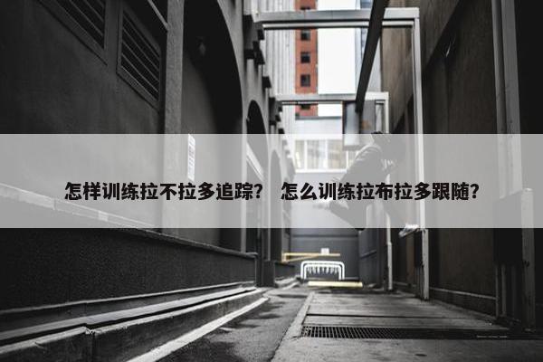 怎样训练拉不拉多追踪？ 怎么训练拉布拉多跟随？