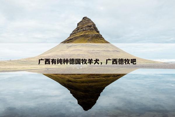 广西有纯种德国牧羊犬，广西德牧吧
