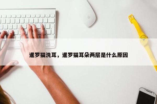 暹罗猫洗耳，暹罗猫耳朵两层是什么原因