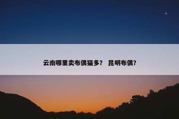 云南哪里卖布偶猫多？ 昆明布偶？