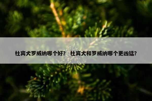 杜宾犬罗威纳哪个好？ 杜宾犬和罗威纳哪个更凶猛？