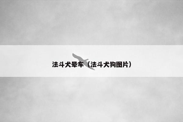 法斗犬晕车（法斗犬狗图片）