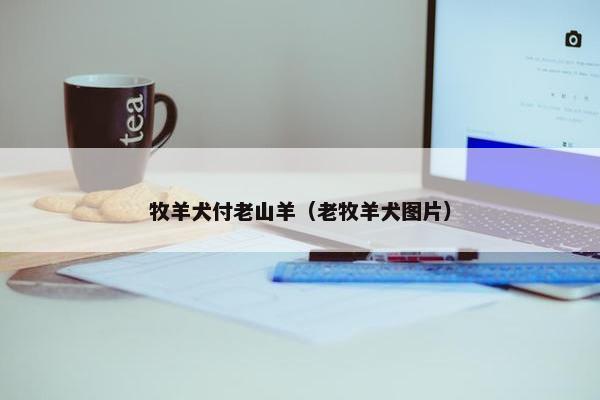 牧羊犬付老山羊（老牧羊犬图片）
