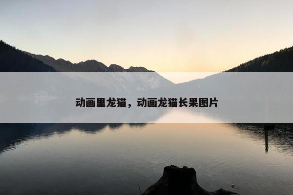 动画里龙猫，动画龙猫长果图片