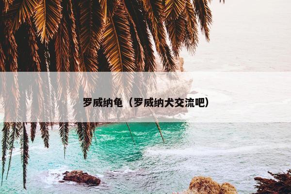 罗威纳龟（罗威纳犬交流吧）
