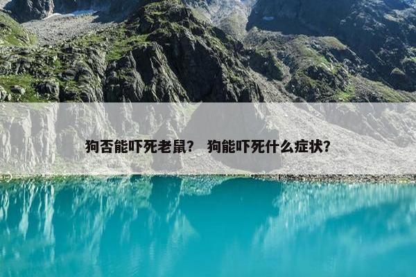 狗否能吓死老鼠？ 狗能吓死什么症状？