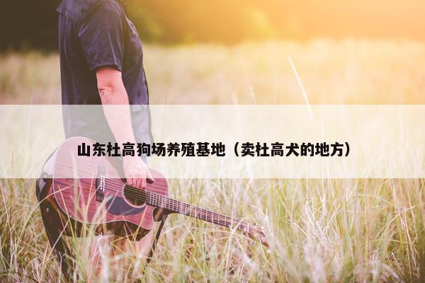 山东杜高狗场养殖基地（卖杜高犬的地方）
