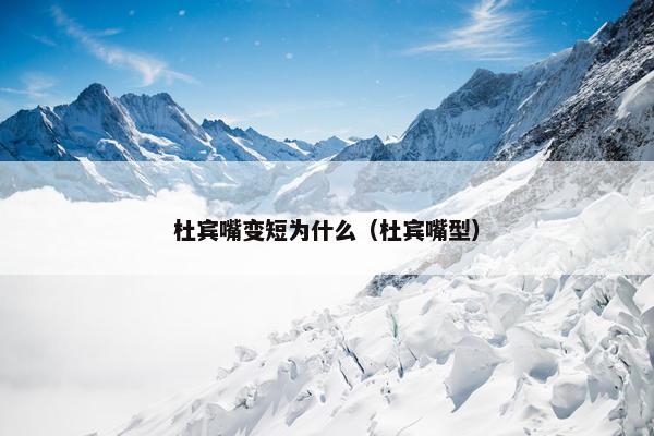 杜宾嘴变短为什么（杜宾嘴型）