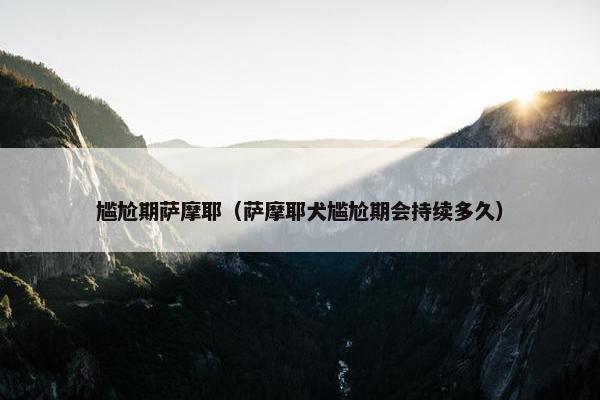 尴尬期萨摩耶（萨摩耶犬尴尬期会持续多久）