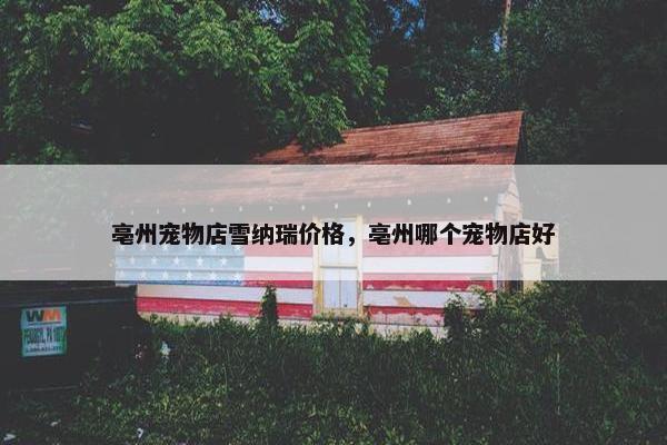 亳州宠物店雪纳瑞价格，亳州哪个宠物店好