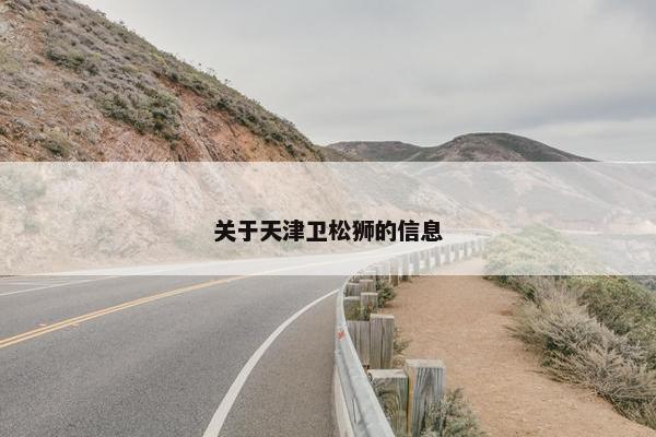 关于天津卫松狮的信息