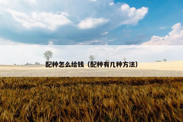 配种怎么给钱（配种有几种方法）