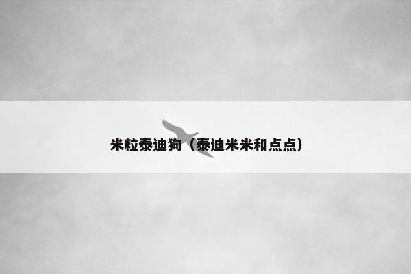 米粒泰迪狗（泰迪米米和点点）