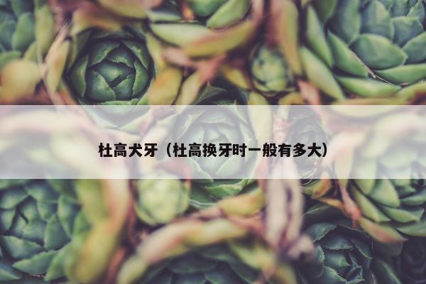 杜高犬牙（杜高换牙时一般有多大）
