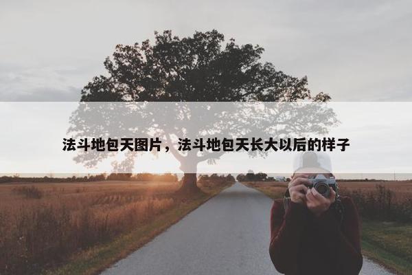 法斗地包天图片，法斗地包天长大以后的样子