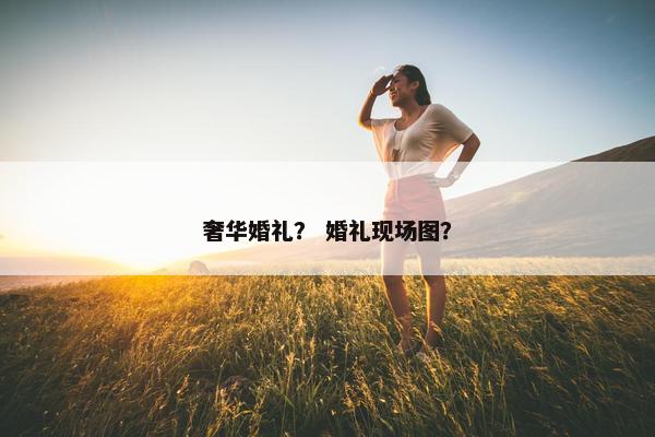 奢华婚礼？ 婚礼现场图？