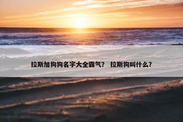 拉斯加狗狗名字大全霸气？ 拉斯狗叫什么？