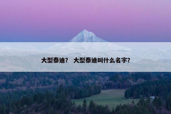大型泰迪？ 大型泰迪叫什么名字？