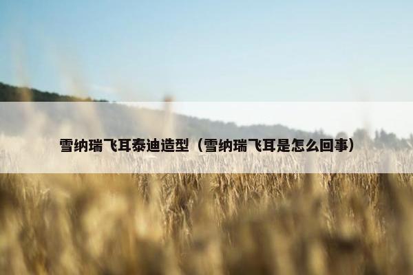 雪纳瑞飞耳泰迪造型（雪纳瑞飞耳是怎么回事）