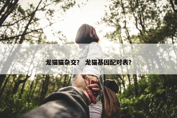 龙猫猫杂交？ 龙猫基因配对表？